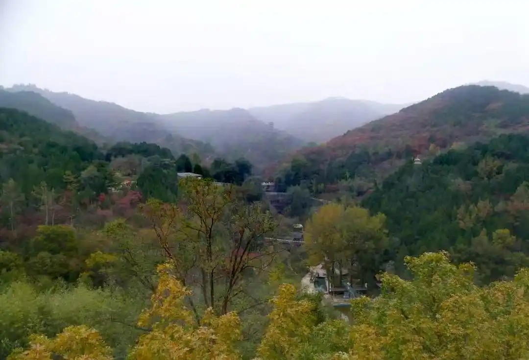 赏红叶游古城，周末近郊游迎来小高峰