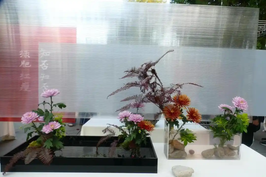 赏红叶游古城，周末近郊游迎来小高峰