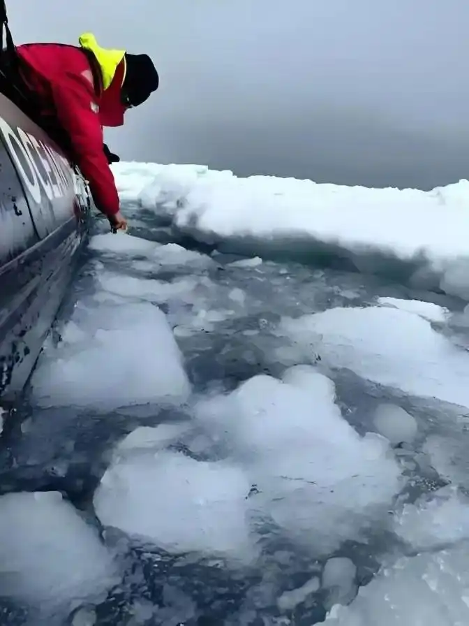 南极旅游价格从20万跌至5万？旅行社回应