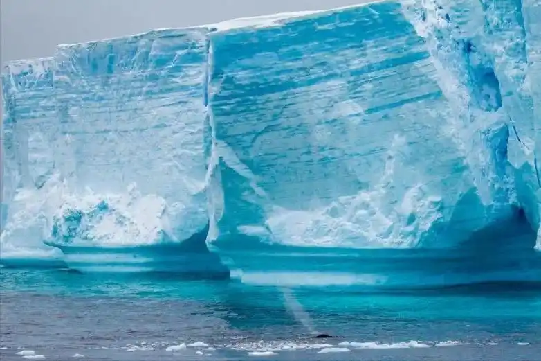 南极旅游价格从20万跌至5万？旅行社回应