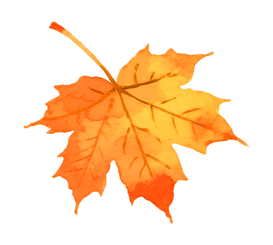 周末去哪逛？河北文旅推荐10条秋日旅游线路