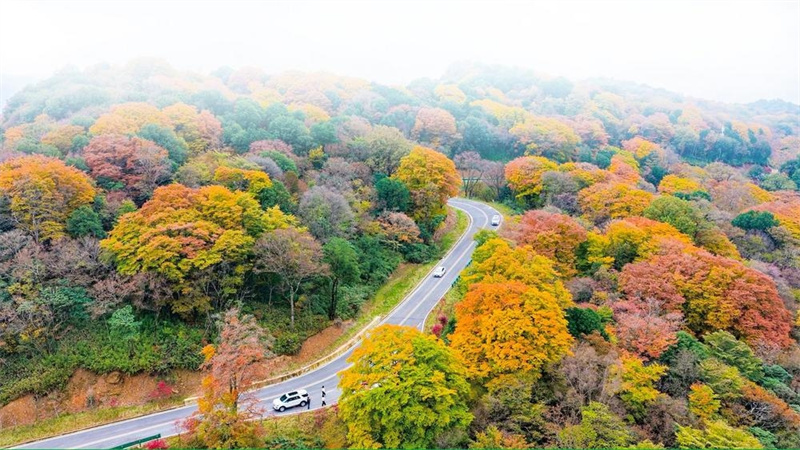“广元不远、周末优选”变为越来越多人的心之所向