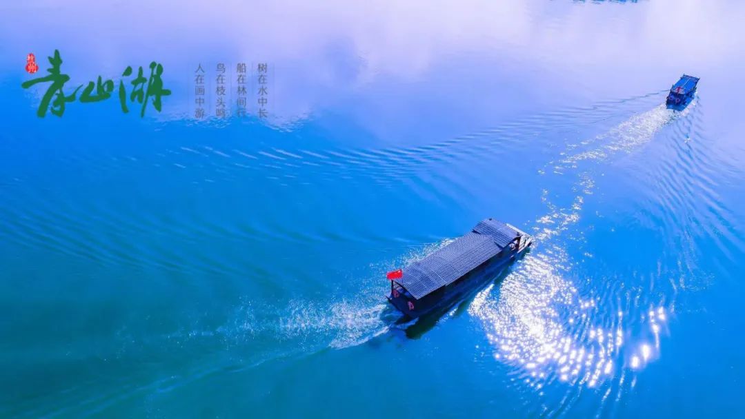 西湖最经典的风景上新！超适合杭州一日游，安排起来