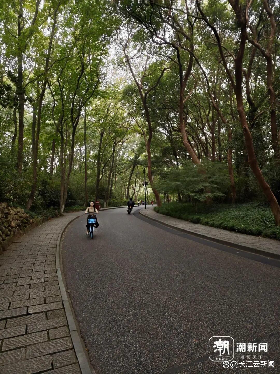 杭州西湖边有露营区？景区：是欣赏风光的固定休息场所，不建议过夜