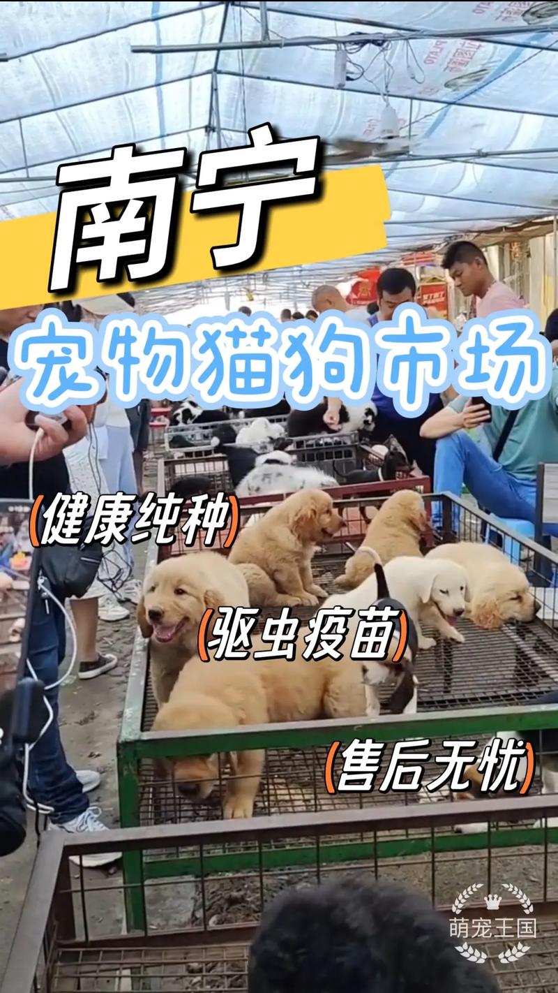 家门口的宠物乐园惹争议！南宁某小区居民为何集体反对？