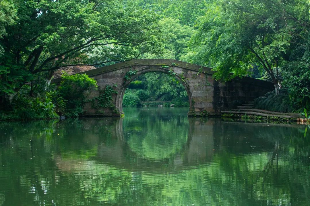 西湖秘境！低调了800年，美出了新高度！你有打卡心得吗
