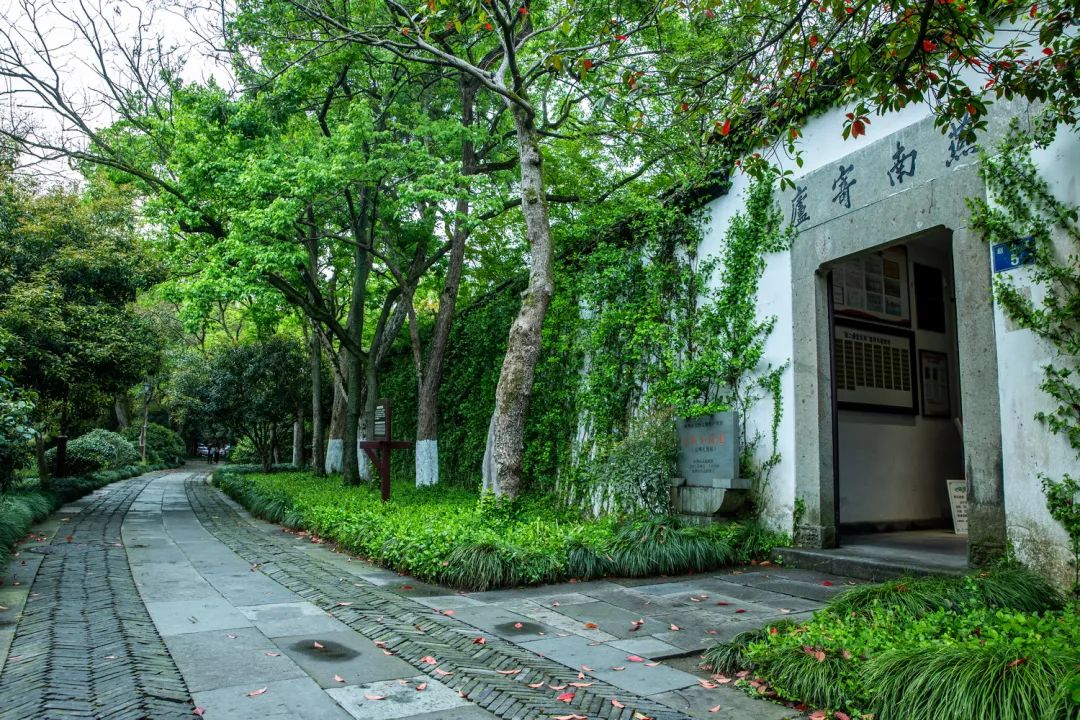 西湖秘境！低调了800年，美出了新高度！你有打卡心得吗