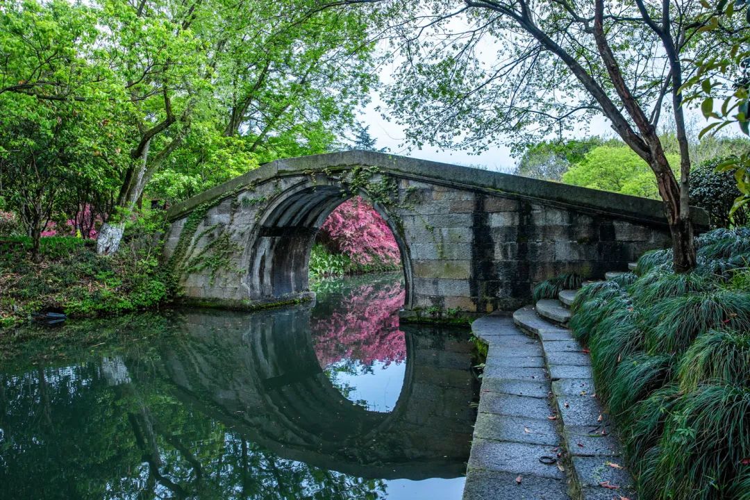 西湖秘境！低调了800年，美出了新高度！你有打卡心得吗