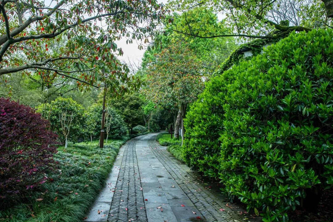 西湖秘境！低调了800年，美出了新高度！你有打卡心得吗