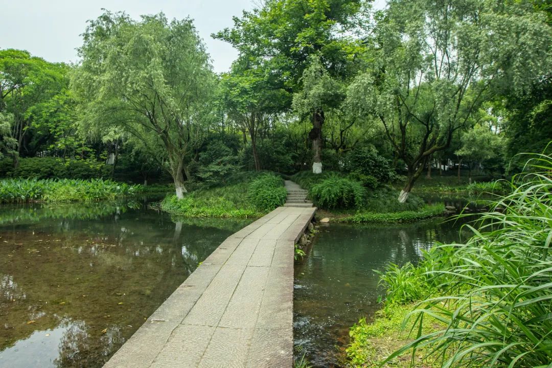 西湖秘境！低调了800年，美出了新高度！你有打卡心得吗