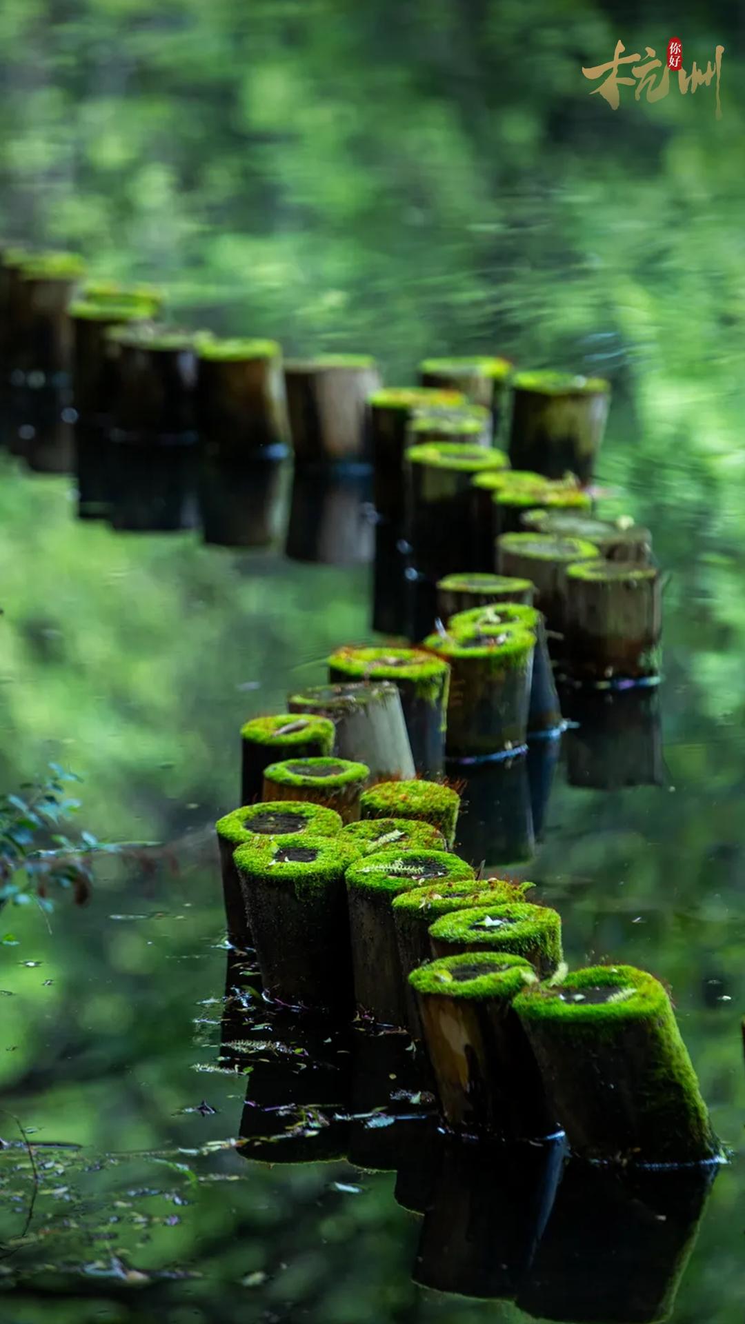 西湖秘境！低调了800年，美出了新高度！你有打卡心得吗