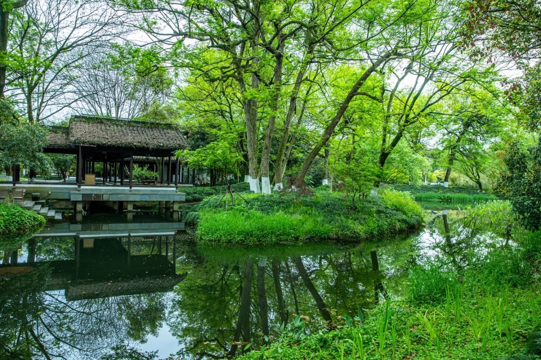 西湖秘境！低调了800年，美出了新高度！你有打卡心得吗