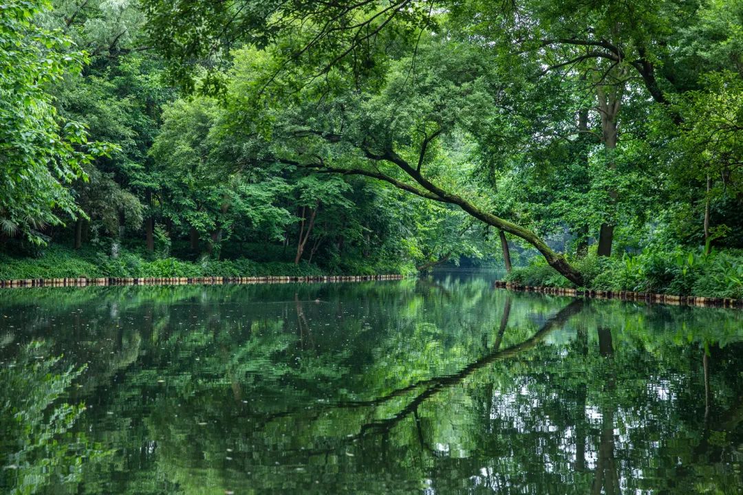 西湖秘境！低调了800年，美出了新高度！你有打卡心得吗