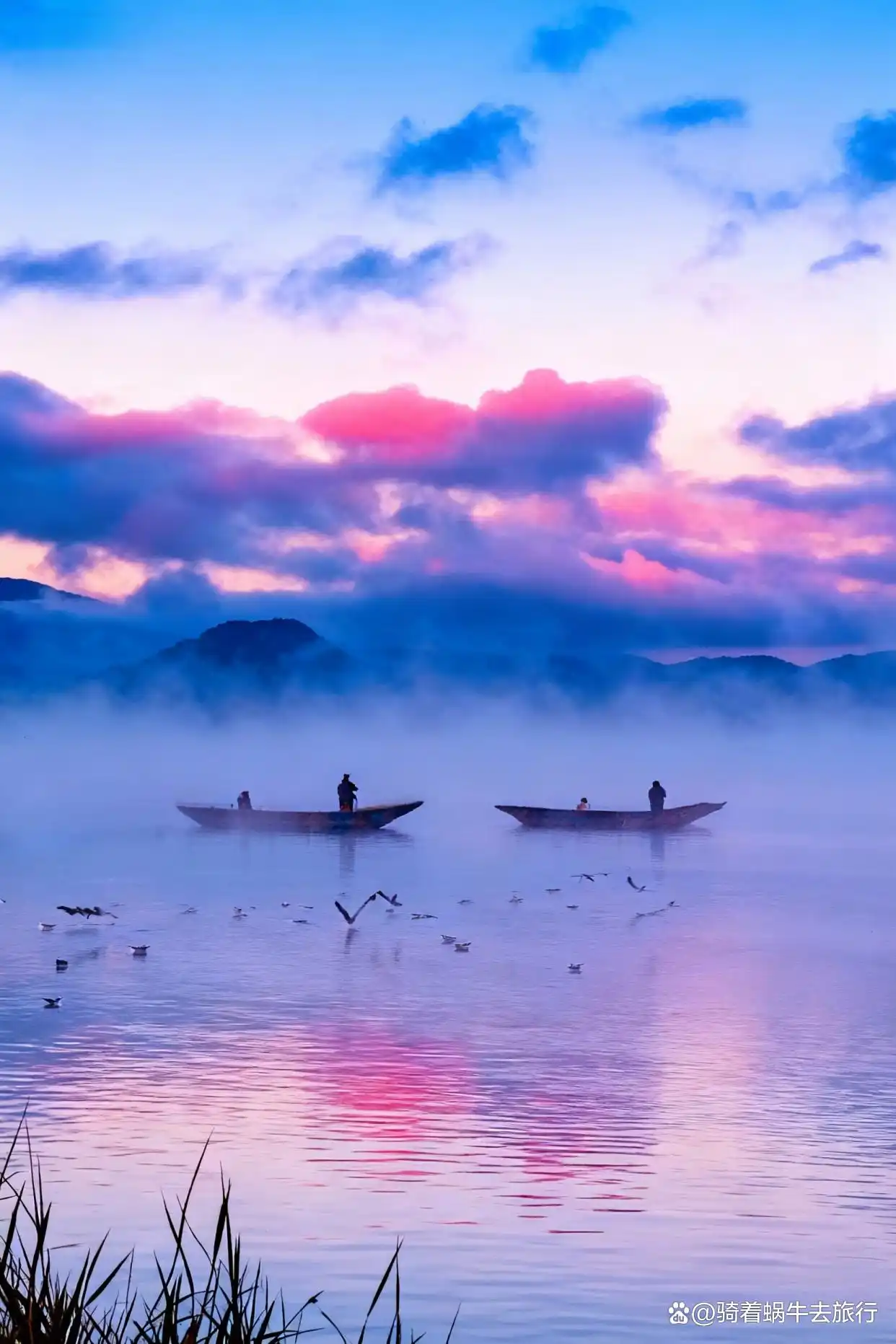 以为洱海已经够美了，直到我来了泸沽湖！