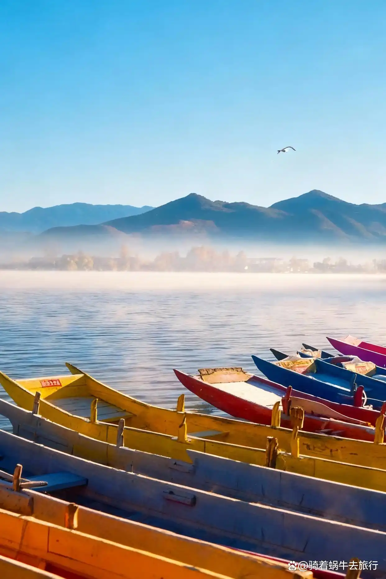 以为洱海已经够美了，直到我来了泸沽湖！