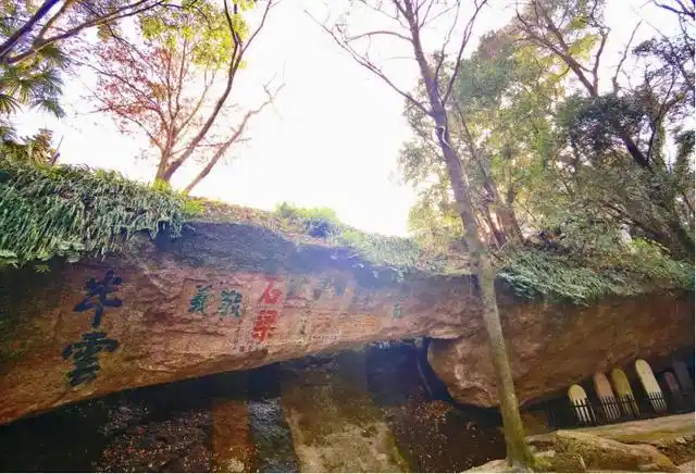 丽水南明山游记