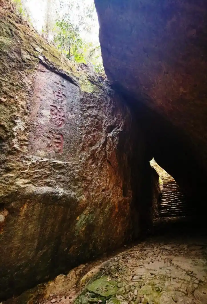 丽水南明山游记