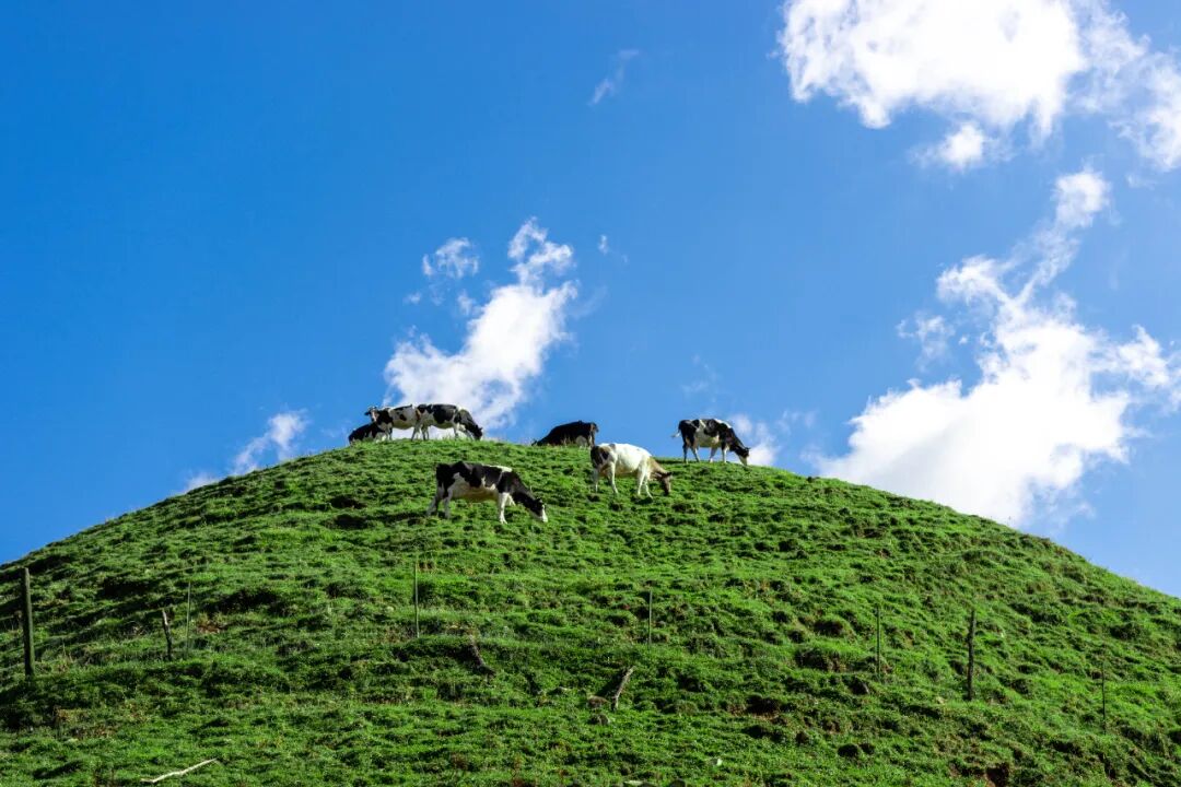 邵阳旅游攻略看这篇就够了！湖南邵阳6个必去景点，看看你去过几个？