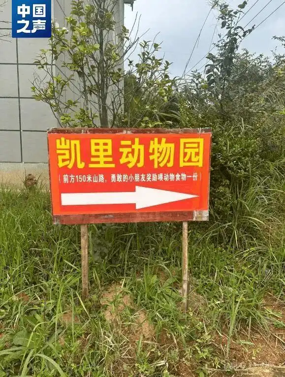 退休教师“再就业”，20元门票十年不涨价，这家深山里的动物园藏不住了！