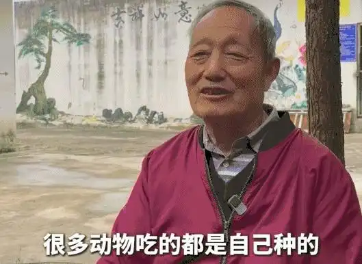 退休教师“再就业”，20元门票十年不涨价，这家深山里的动物园藏不住了！
