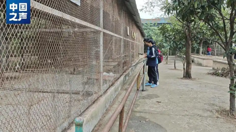 退休教师“再就业”，20元门票十年不涨价，这家深山里的动物园藏不住了！