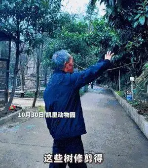 退休教师“再就业”，20元门票十年不涨价，这家深山里的动物园藏不住了！