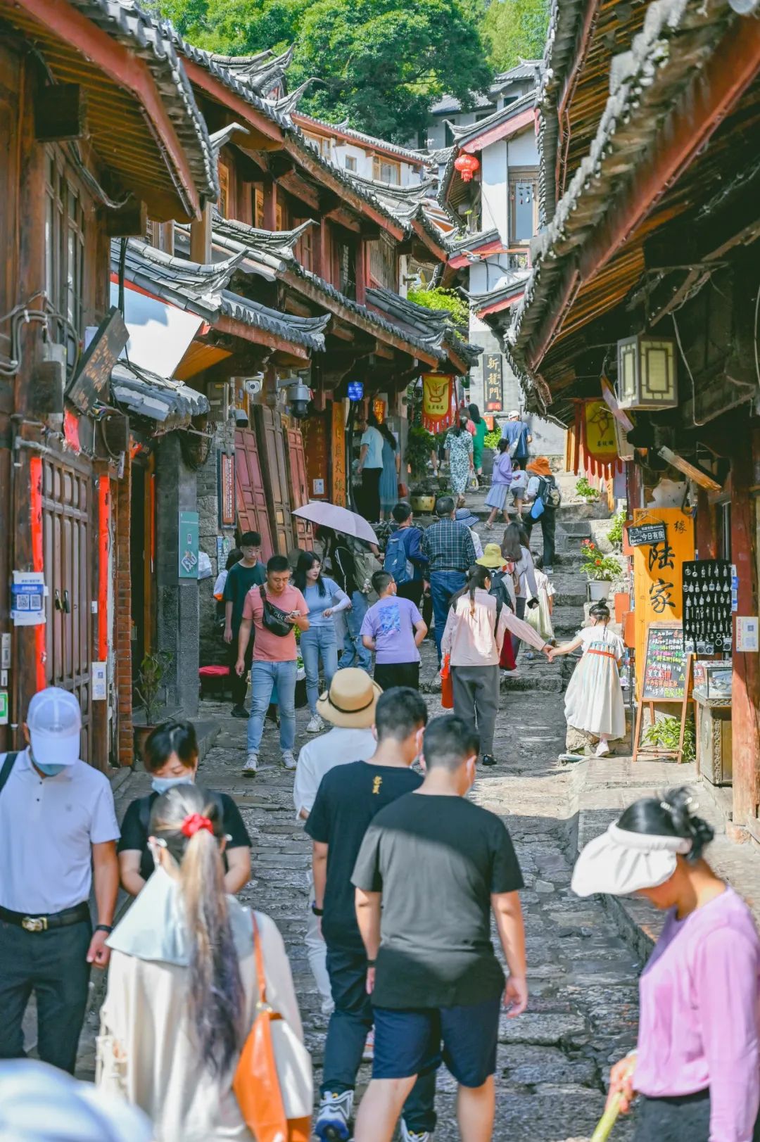 丽江文旅30年 | 木丽：让丽江故事在世界遗产语境中得到最美诠释