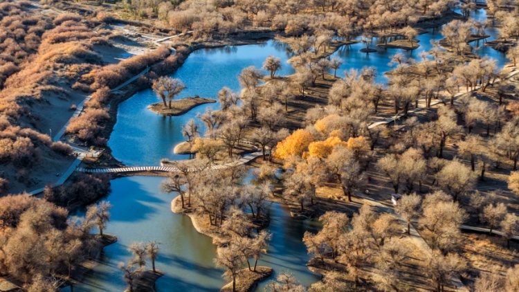 最高27℃！升温12℃！江西接下来天气→