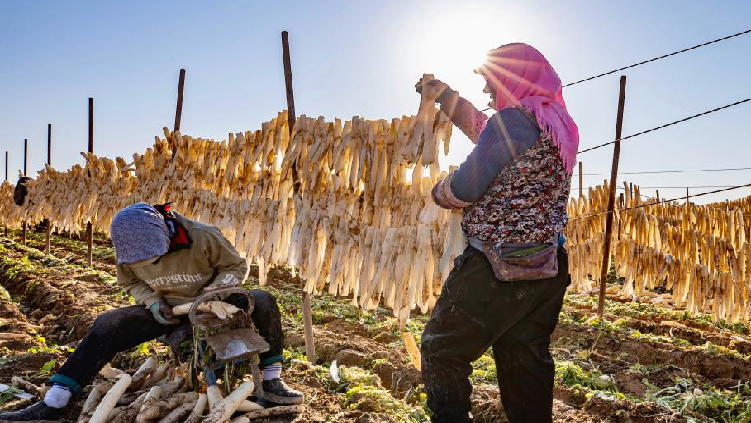 最高27℃！升温12℃！江西接下来天气→