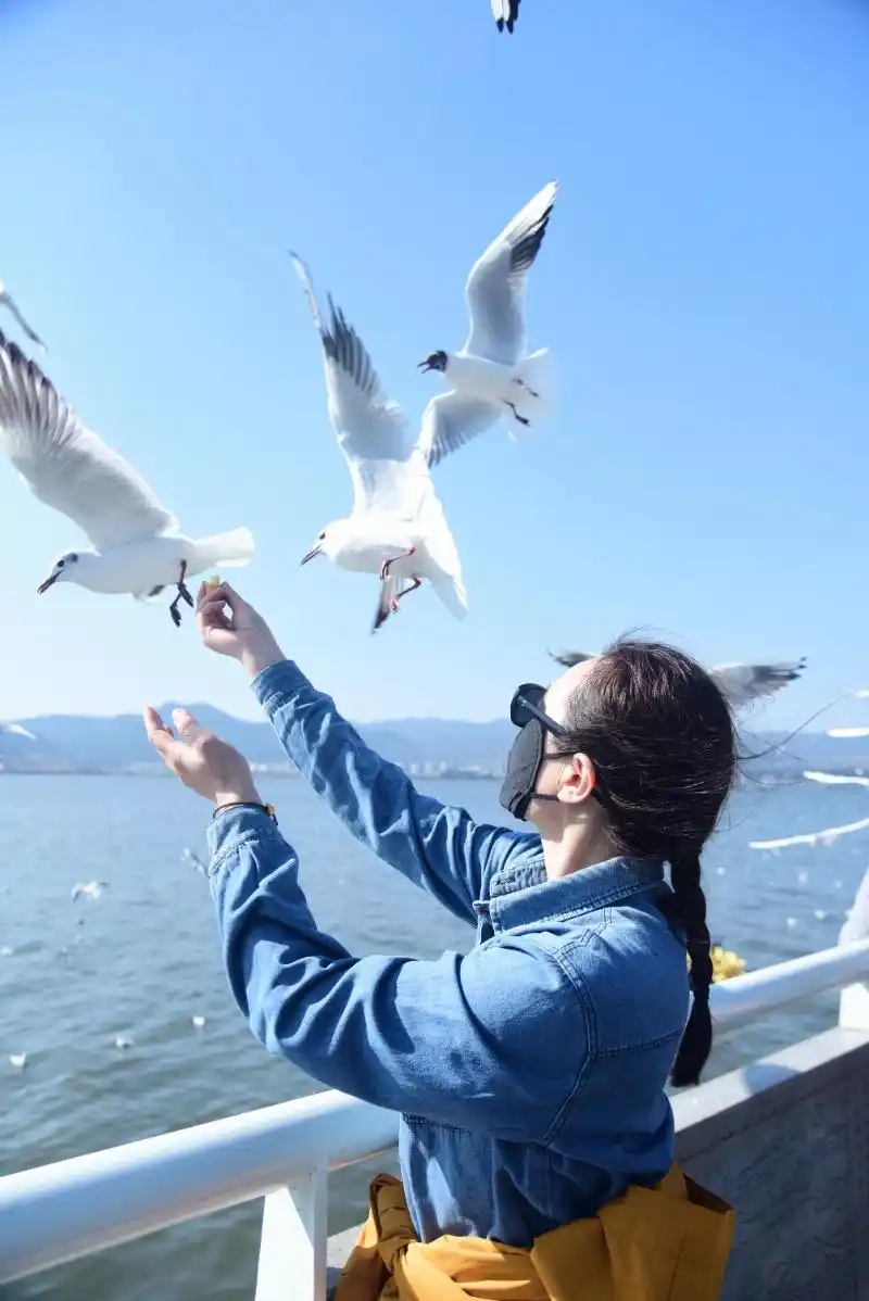 《报告》显示：“新银发一族”挑起出境游的大梁