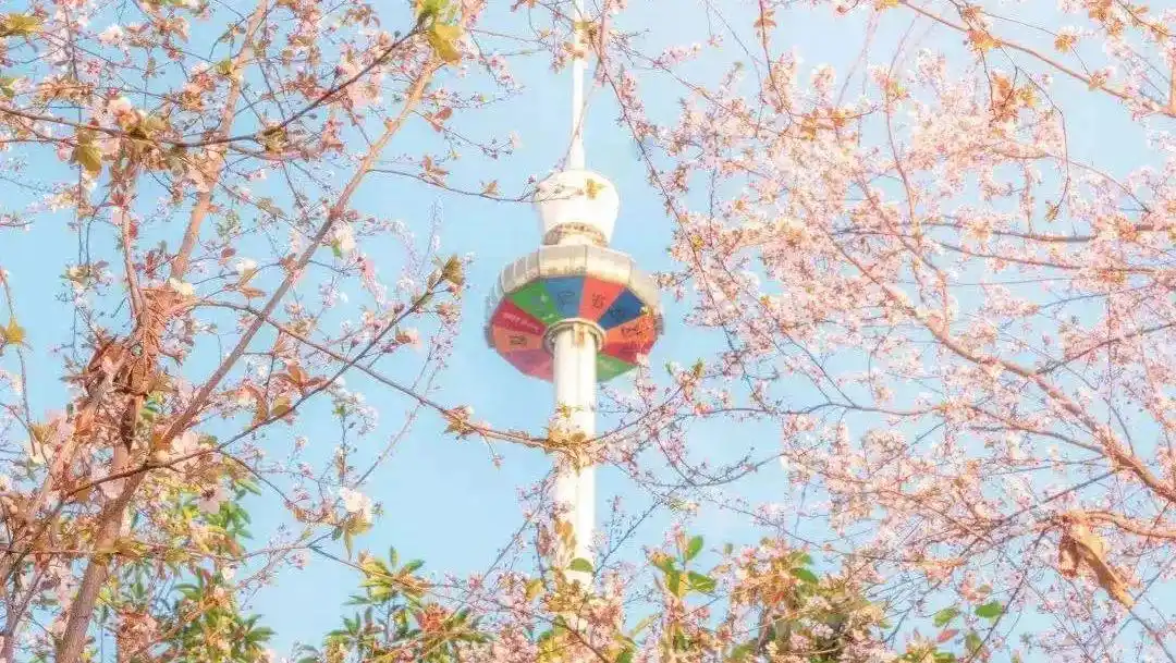 今晚20:00，免费门票开抢！