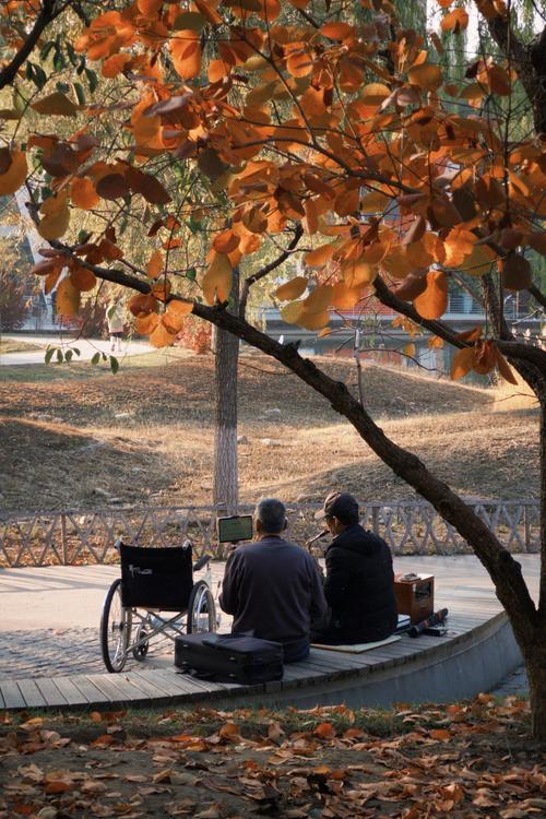 太原：晴好天气带火“周末游”