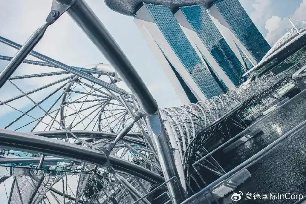 彦德国际深度解析：出海新加坡签证指南（下）