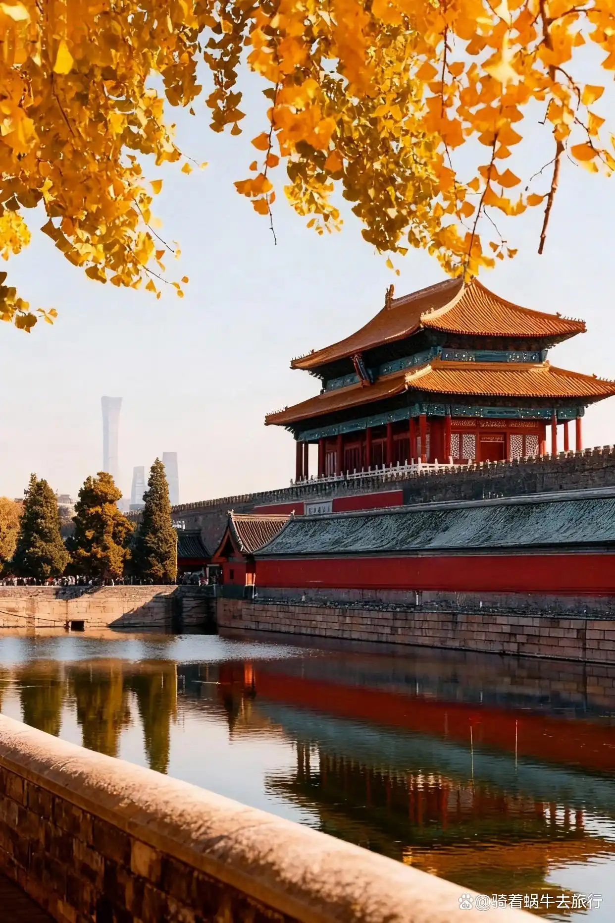 北平的秋天，简直是人间天堂plus版！
