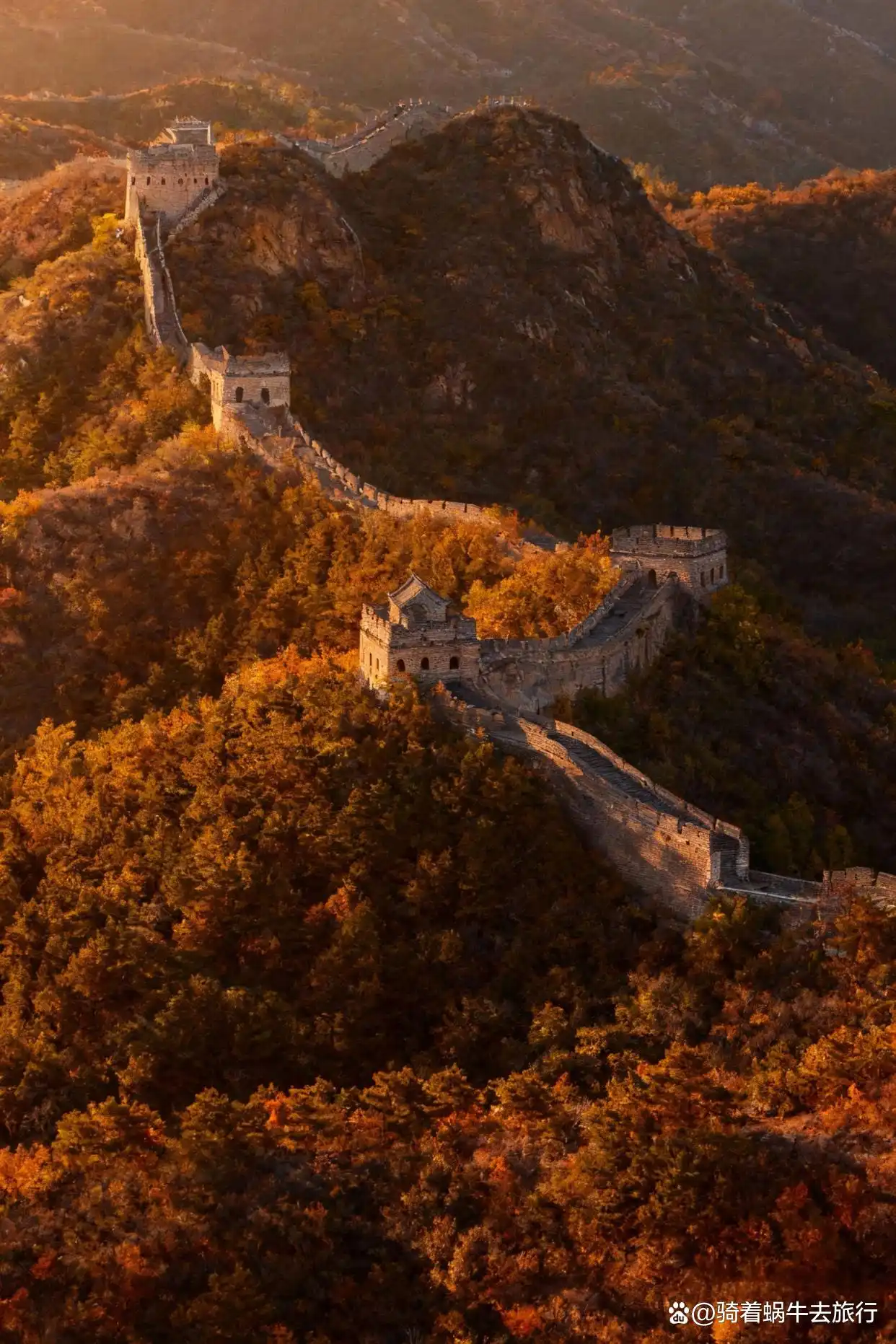 北平的秋天，简直是人间天堂plus版！