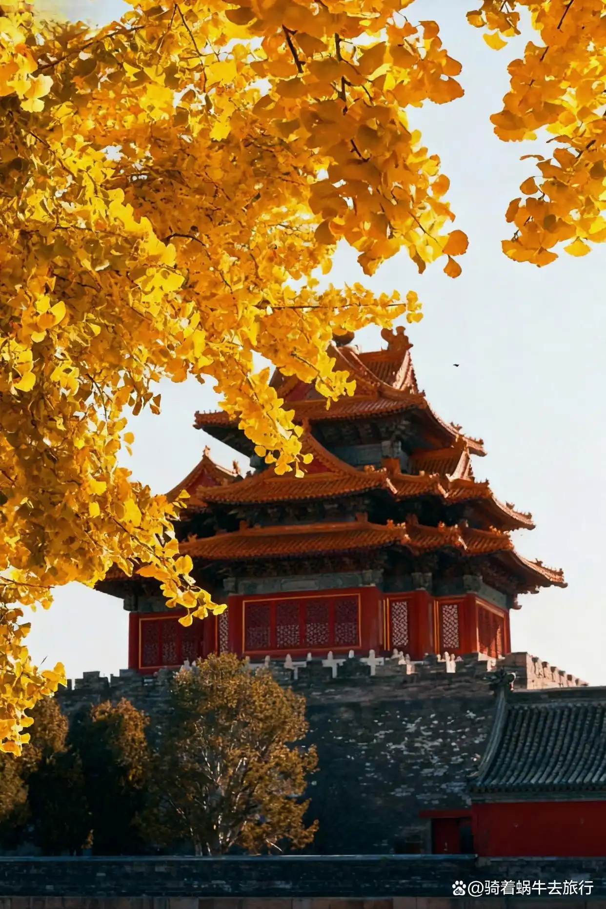 北平的秋天，简直是人间天堂plus版！