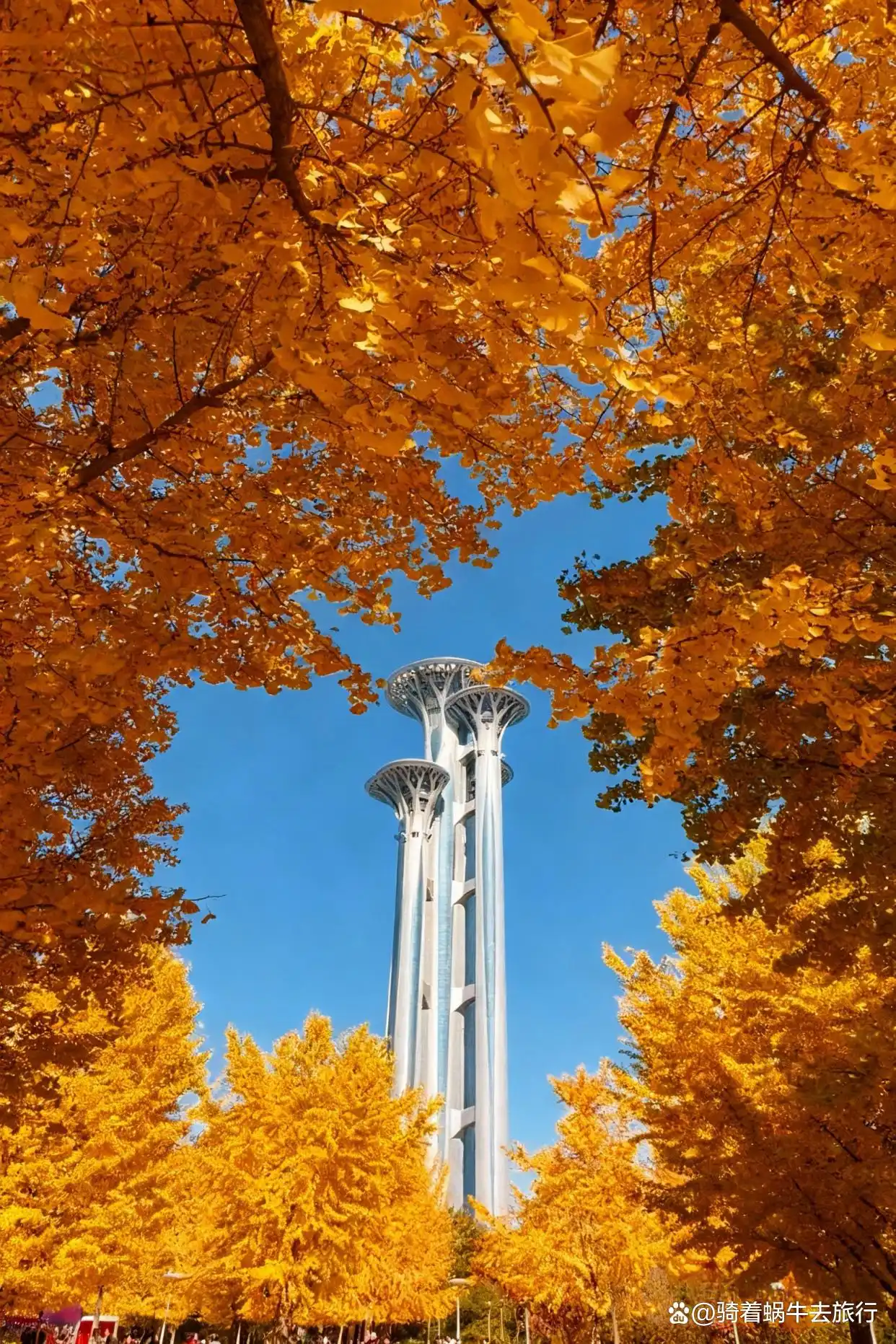 北平的秋天，简直是人间天堂plus版！