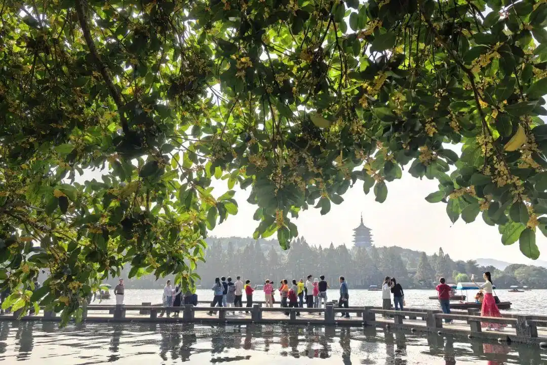 湿冷只是暂时的，浙江最高温又将冲上30℃！天气上演大反转