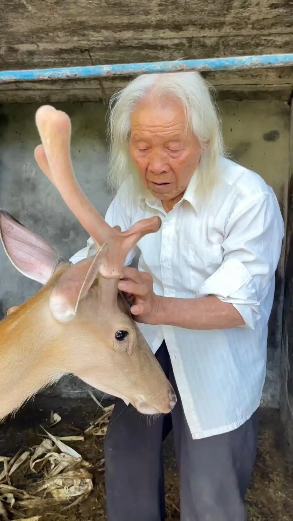 贵州凯里“最寒酸动物园”走红后，湖北恩施“最孤独动物园”获网友“云门票”支持