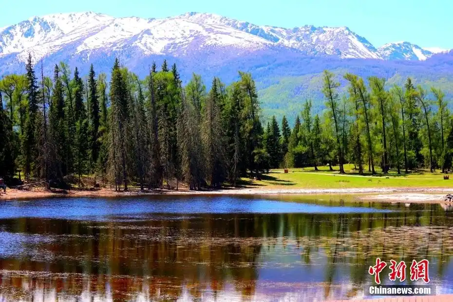 新疆喀纳斯风景如画