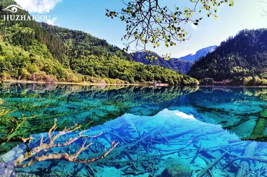 九寨沟警方一个月抓获5名网逃人员，均是来看美景的游客，有人抵达3小时就落网