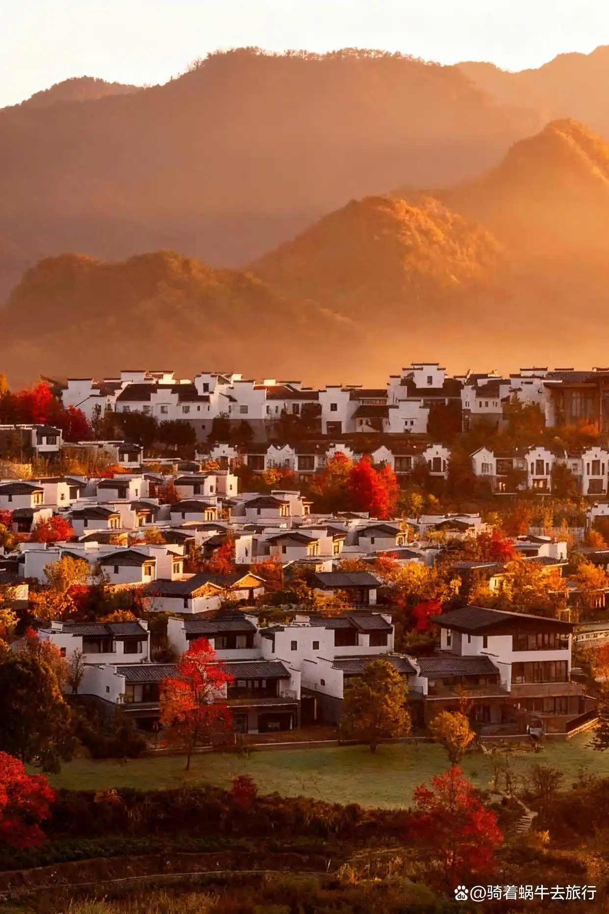 皖南的秋天，堪称中式美学天花板！