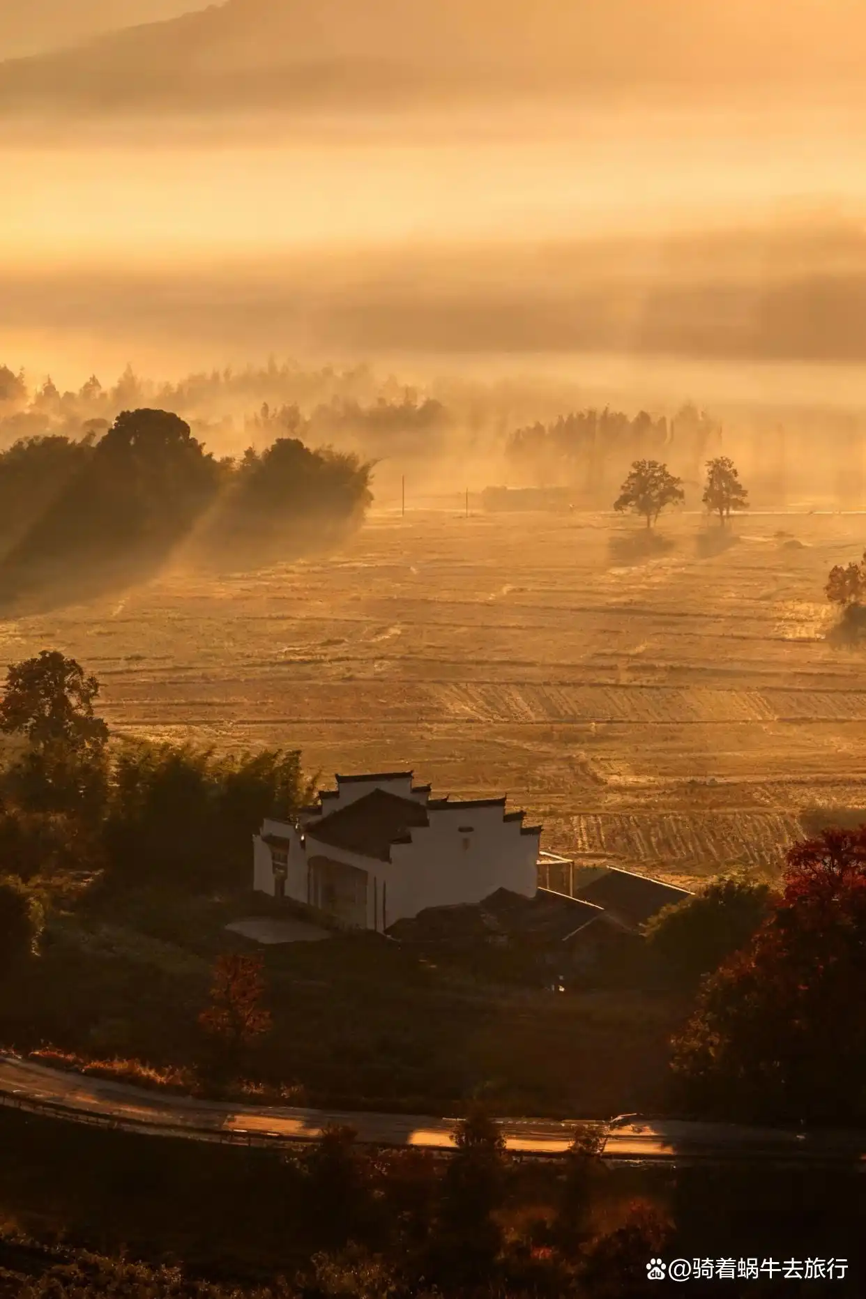 皖南的秋天，堪称中式美学天花板！