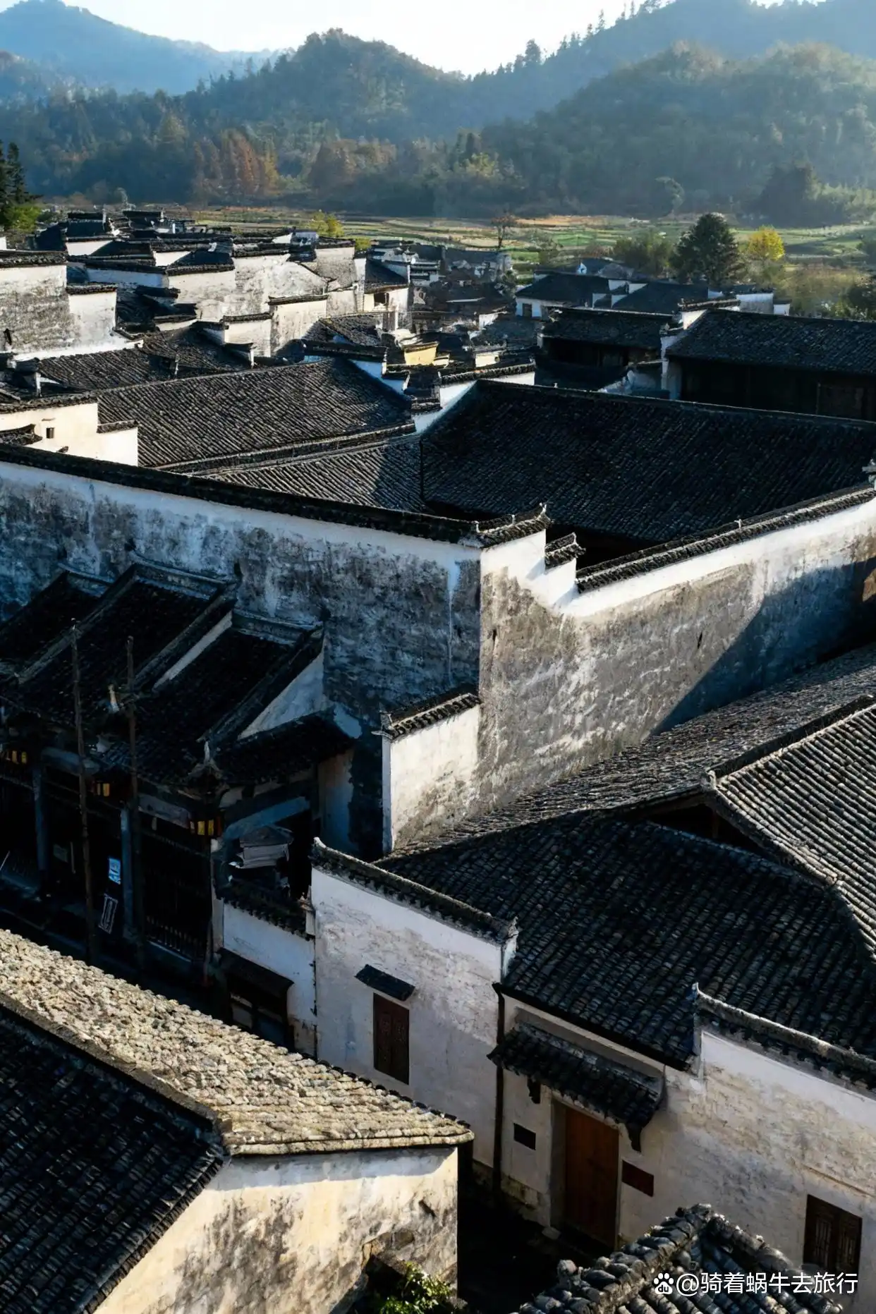 皖南的秋天，堪称中式美学天花板！