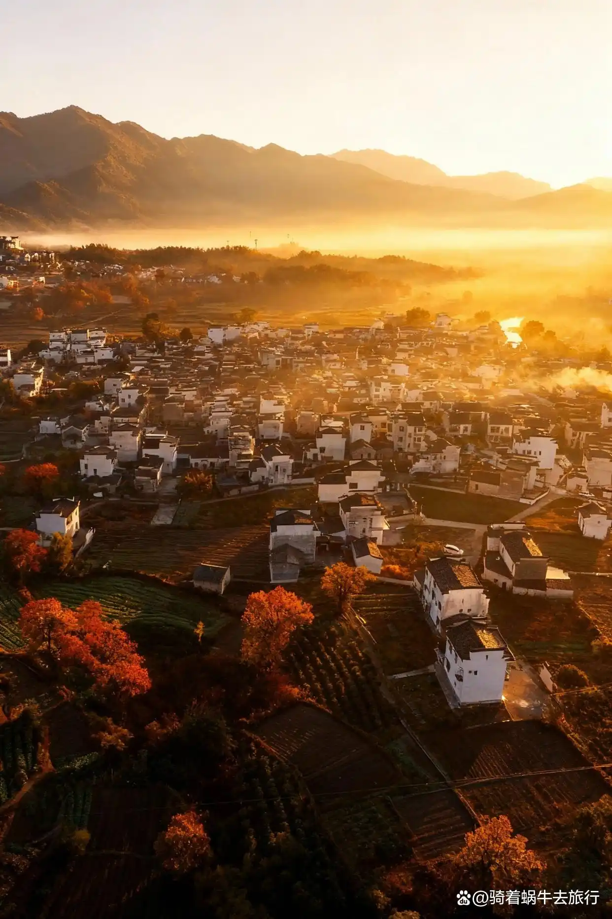 皖南的秋天，堪称中式美学天花板！