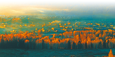 喀纳斯：碧水澄林秋先至