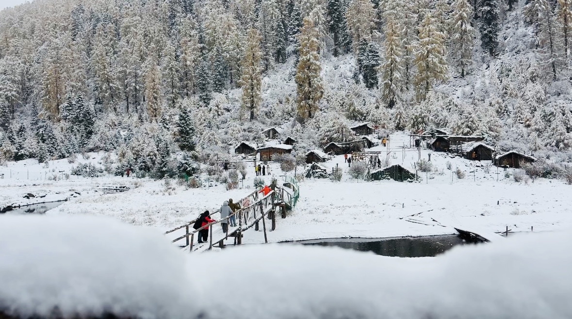 快上车！深秋限定九寨沟彩林与雪花同框，动车票每天3个时段可抢