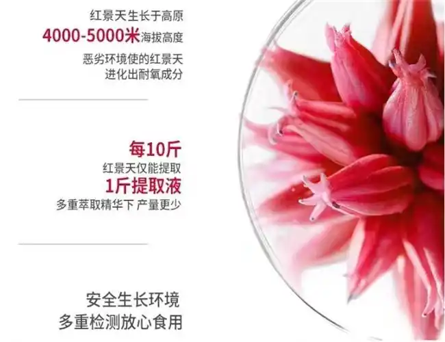 九寨沟高原反应严重吗？2025年抗高反红景天权威榜单发布，这十款抗高反产品闭眼选