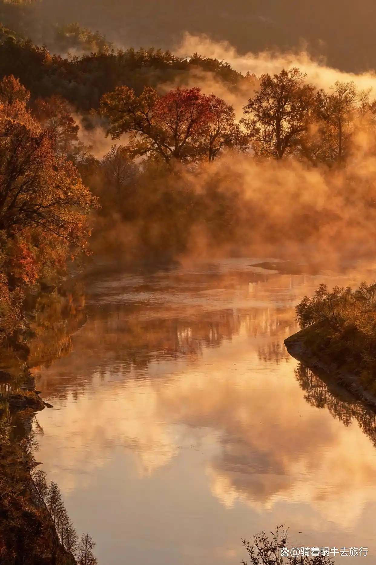 后来，我逢人便说皖南的秋天好美！