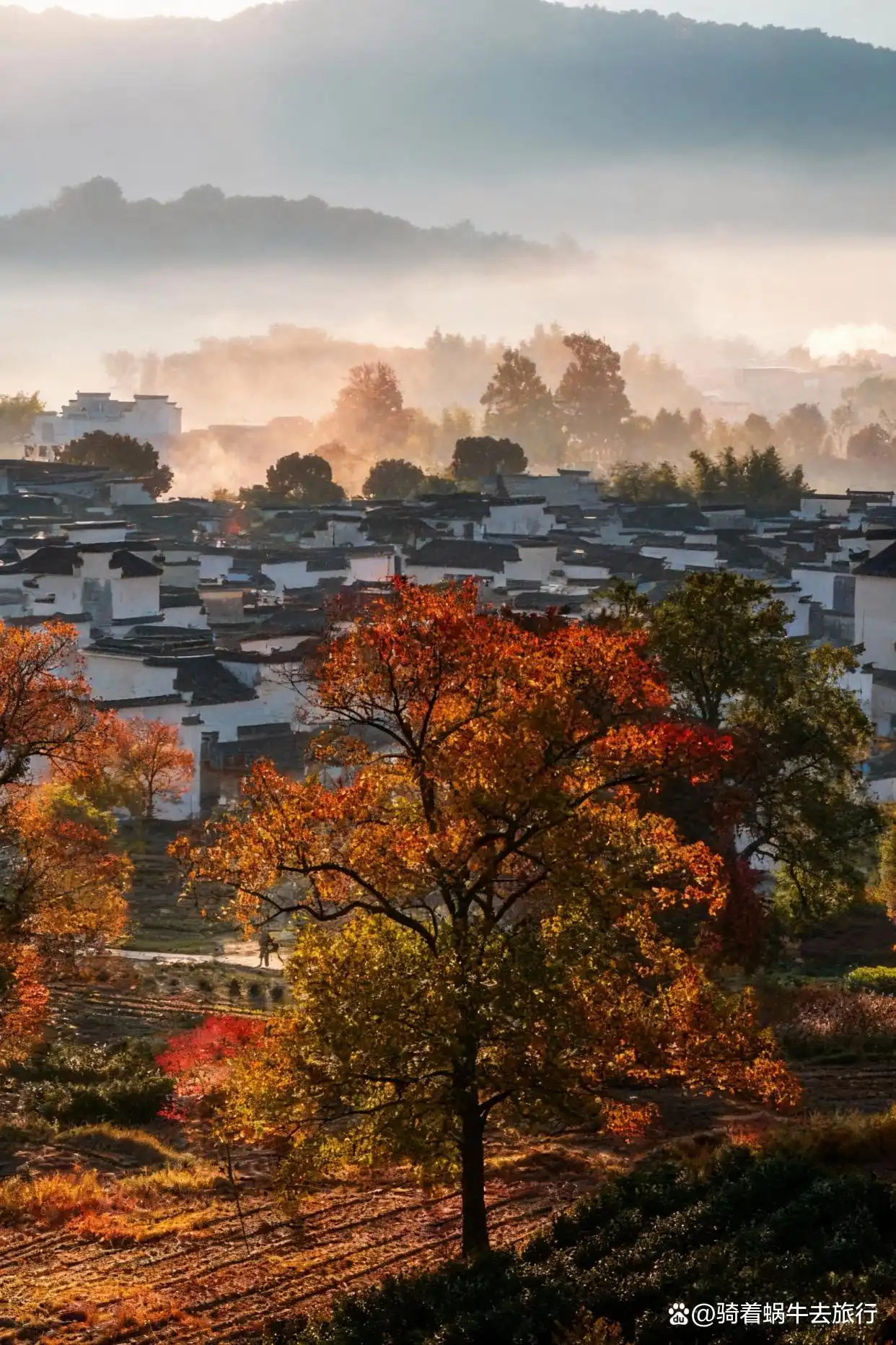 后来，我逢人便说皖南的秋天好美！